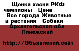 Щенки хаски РКФ чемпионы › Цена ­ 90 000 - Все города Животные и растения » Собаки   . Архангельская обл.,Пинежский 